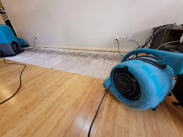 Professional Emergency Water Damage technician working in Adger, AL